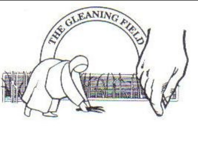 The Gleaning Field Foundation